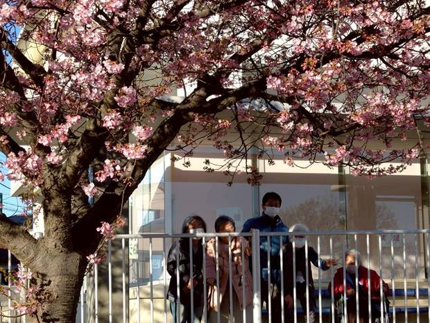 ファイル 4538-2.jpg