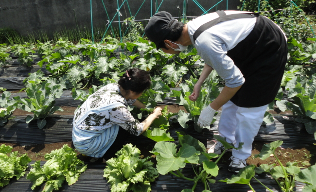 どんまい１